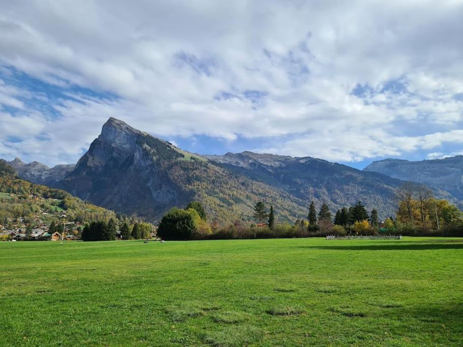 Appartement Le D12 Samoëns Zewnętrze zdjęcie